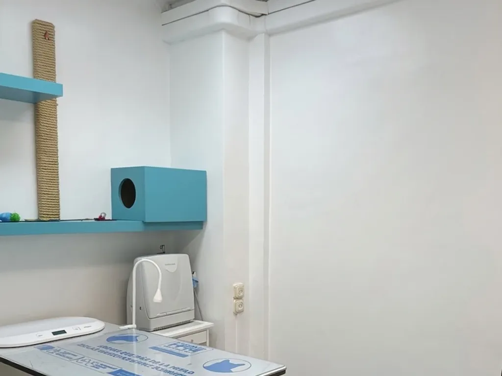 Sala de consulta felina de Lovet, un espai tranquil i cat friendly